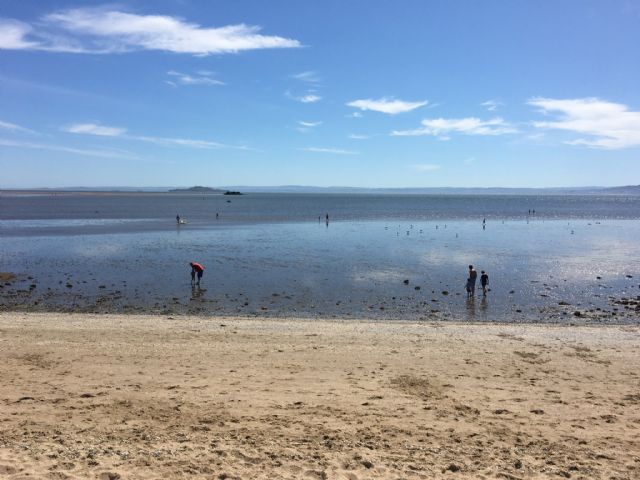 Burntisland beach - keep our beach & sea clean Burntisland beach - keep our beach & sea clean