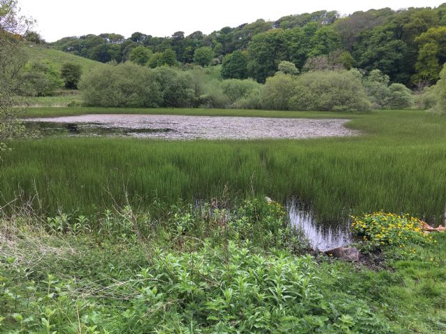 Binn Pond & woods - homes for nature Binn Pond & woods - homes for nature