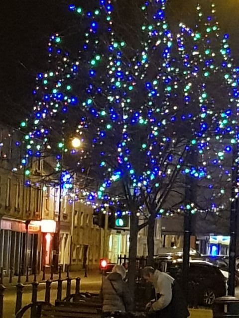 fairy lights in living trees are prone to breakage