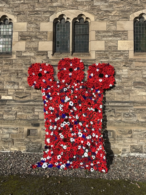 Remembrance poppies Erskine