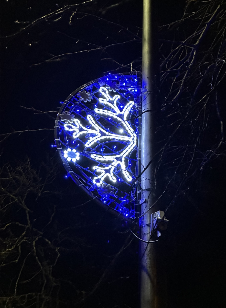 one of 8 snowflake motifs 2025-26