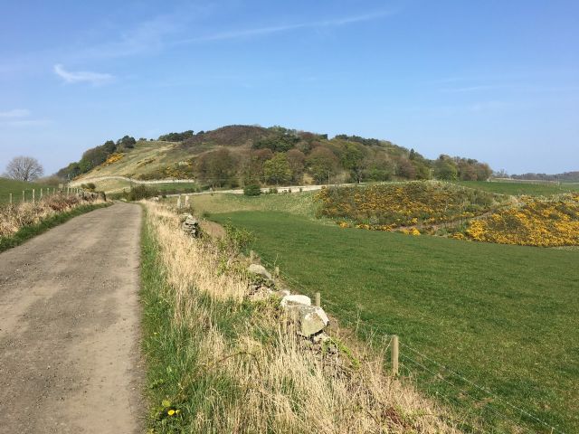 Dunearn from Dalachy Lane